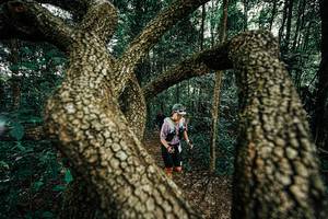 BIB: 
                            <button type="button" onclick="openModal(25393079)" class="btn btn-primary btn-sm float-right btn-popup" data-toggle="modal" data-target=".modal-high-quality">
                        <i class="fas fa-shopping-cart"></i> Add to Cart
                    </button>
                                            <button type="button" onclick="isThisMe(25393079, true)" class="btn btn-success btn-sm float-right btn-popup btn-isme hidden" data-toggle="tooltip" data-placement="bottom" title="นี่คือรูปของคุณใช่ไหม คลิกที่นี่เพื่อเอาเข้าอัลบั้ม">
                        <i class="fas fa-plus"></i> Add to album
                    </button>
                    <button type="button" onclick="isThisMe(25393079, false)" class="btn btn-warning btn-sm float-right btn-popup btn-isnotme hidden">
                        <i class="fas fa-ban"></i> Remove from album
                    </button>